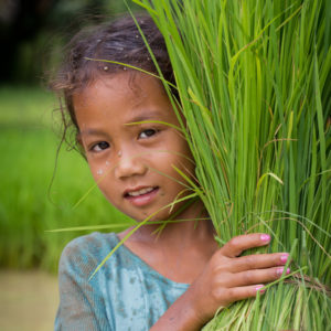 Helfe tatkräftig mit