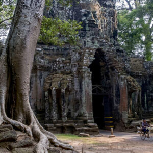 Besuch mit Rundreise